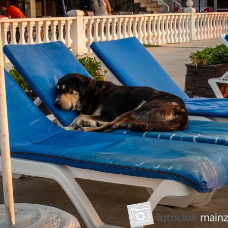 2025: "Endlich Urlaub"